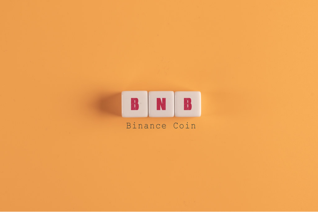 Binance Bitcoin (BNB) Now Accepted at Most Crypto Online Issues