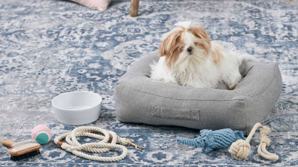 Your First Puppy – What to Expect