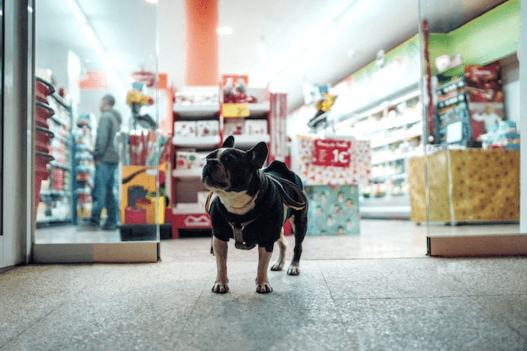 Tips for Choosing a Pets Store