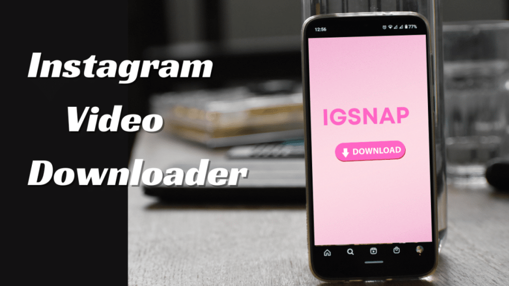 An Expert's Critical Assessment of Instagram Downloader Tools