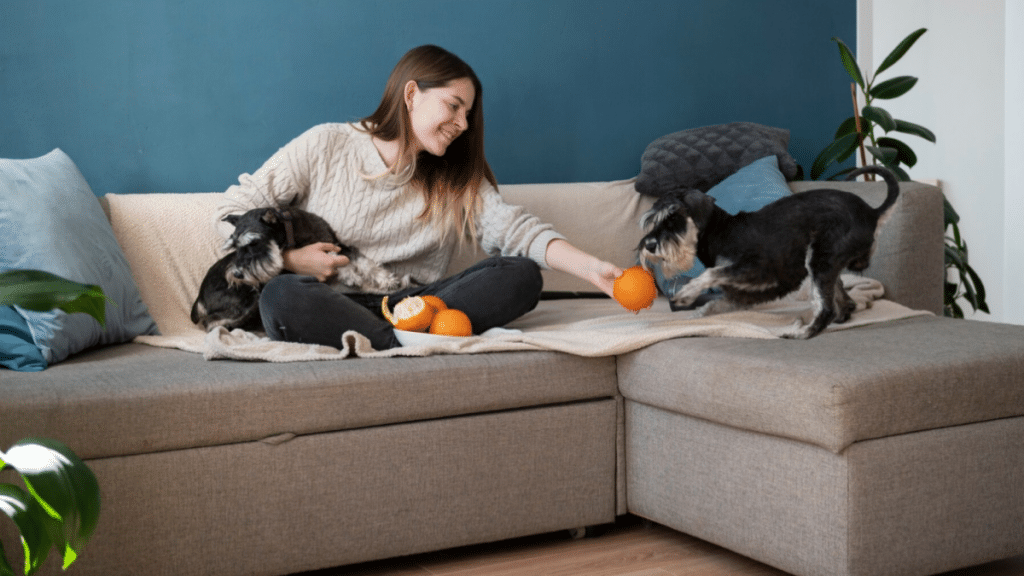 Tips to Minimize Pet Mess in a Condo