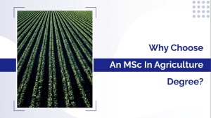 Why Choose an MSc in Agriculture Degree?