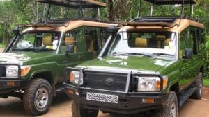 Tips For A Self Drive in Rwanda Trip