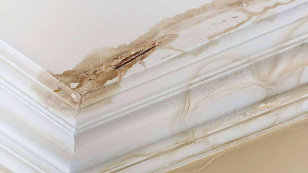 Understanding the Causes and Solutions for Water Damage Ceiling An Essential Guide