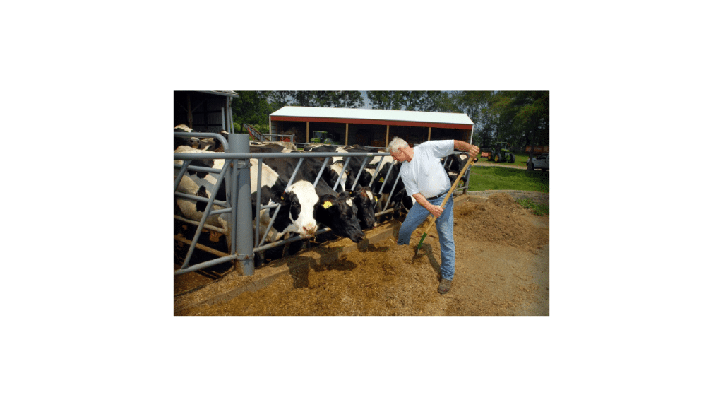 Essential Dairy Equipment Supply for Modern Farming The Ultimate Guide